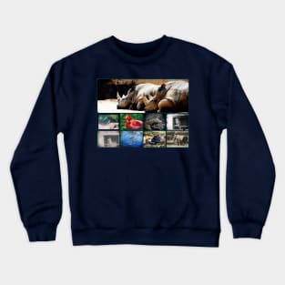 Photo Animal Collage Crewneck Sweatshirt